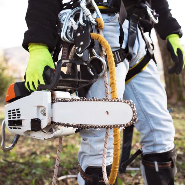 Littleton - Image 4.jpg