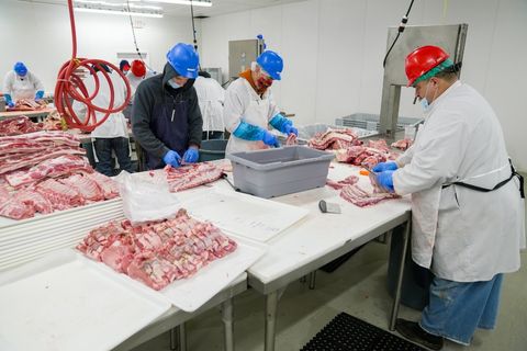 Ensuring Safe Meat Processing - img3.jpg