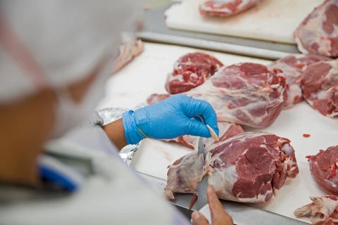 Ensuring Safe Meat Processing - img2.jpg