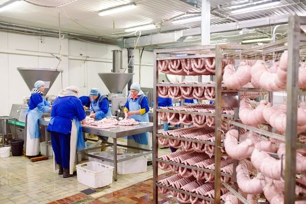 Ensuring Safe Meat Processing - img1.jpg