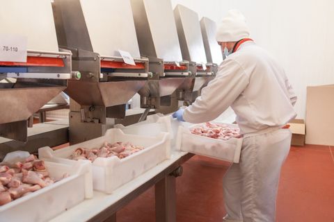 Ensuring Safe Meat Processing - img4.jpg