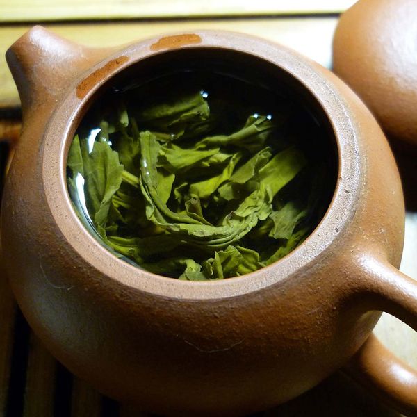 andrographis leaves in a tea pot