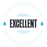 Excellent Customer Experience Trust Badge