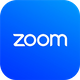 Zoom Icon