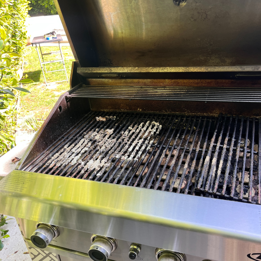 moldy grill.png