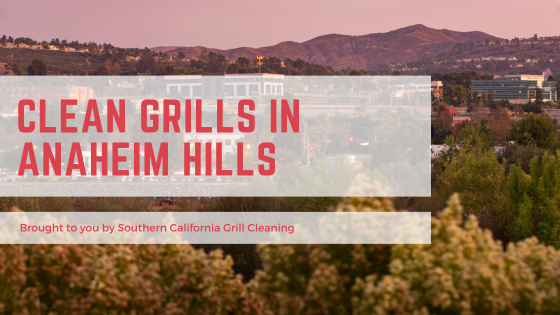 Green Travel Blog Banner (1).png