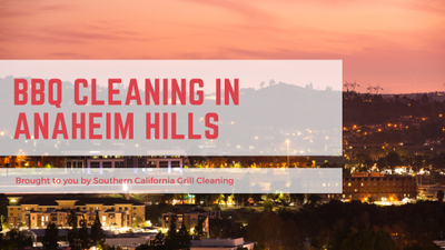 Green Travel Blog Banner (2).png