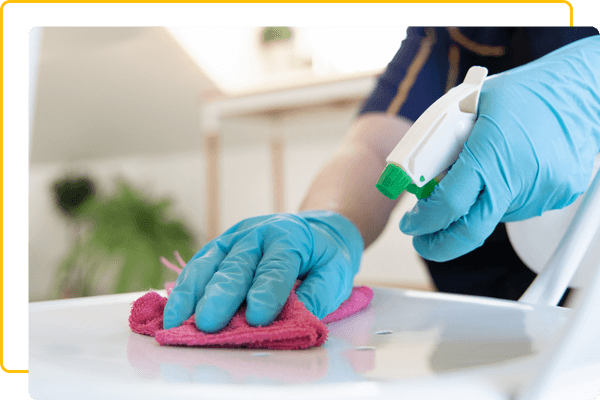 cleaner cleaning countertop