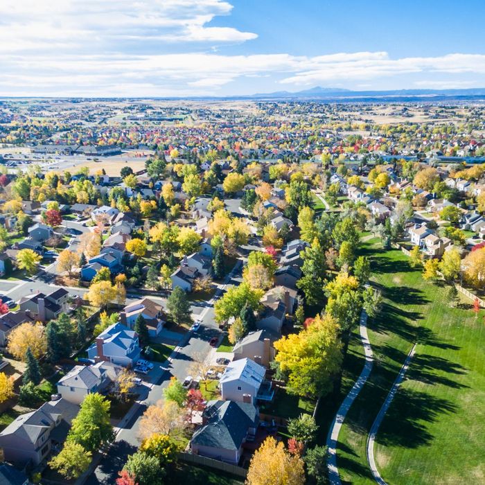 residential neighborhood