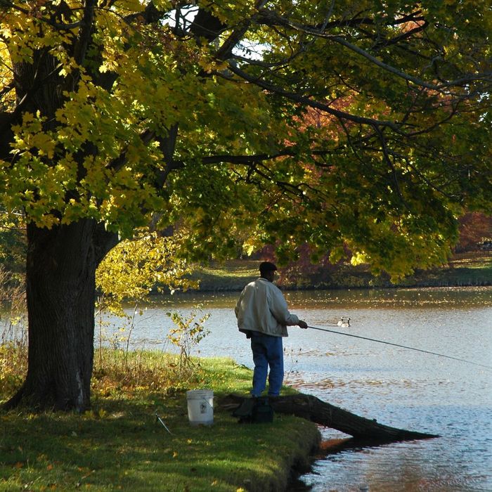 man fishing outside