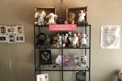 Shelves