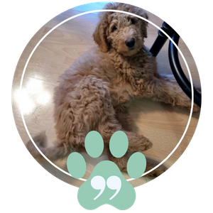 Testimonial - Image 3.png