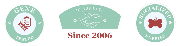 Trust Badges 2.png