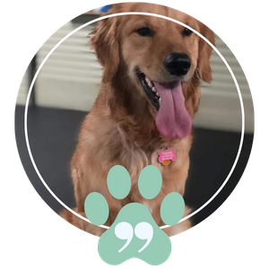 Testimonial - Image 4.png