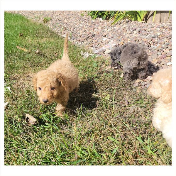 Home - Image 1.jpg