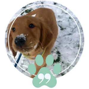 Testimonial - Image 5.png