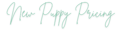New Puppy Pricing 2.png
