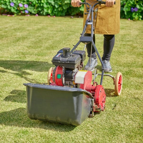 lawn care Greece 1.jpg