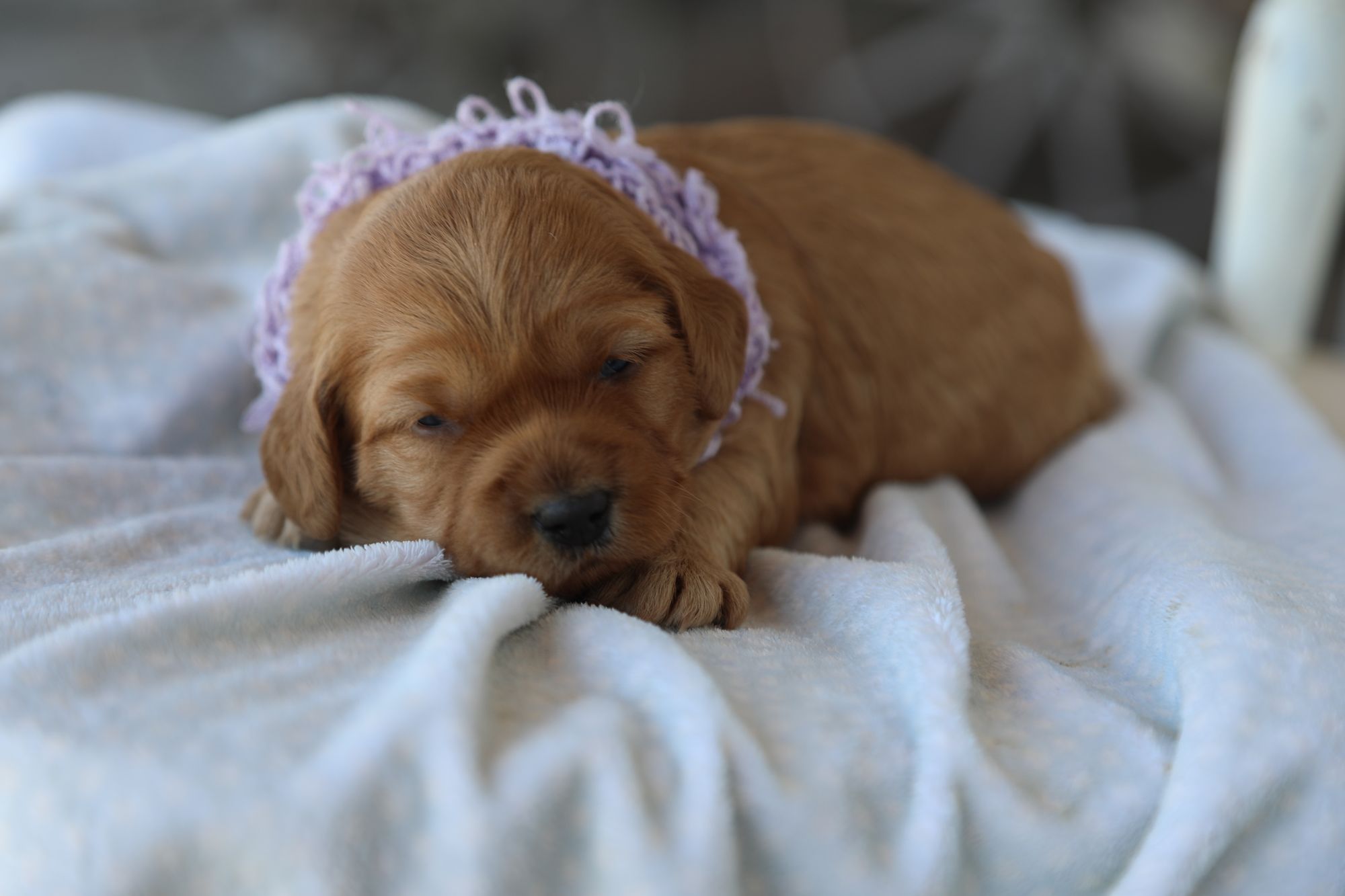 Addy • click to meet
