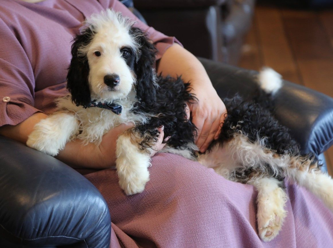Baxter (2).JPG