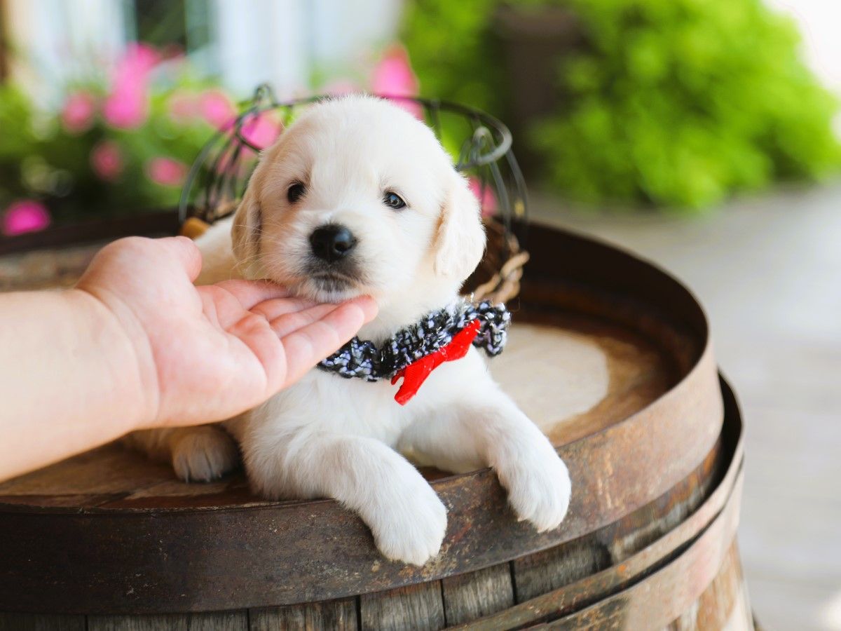  Edward • Click to meet