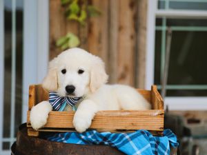 Edward • Click to meet