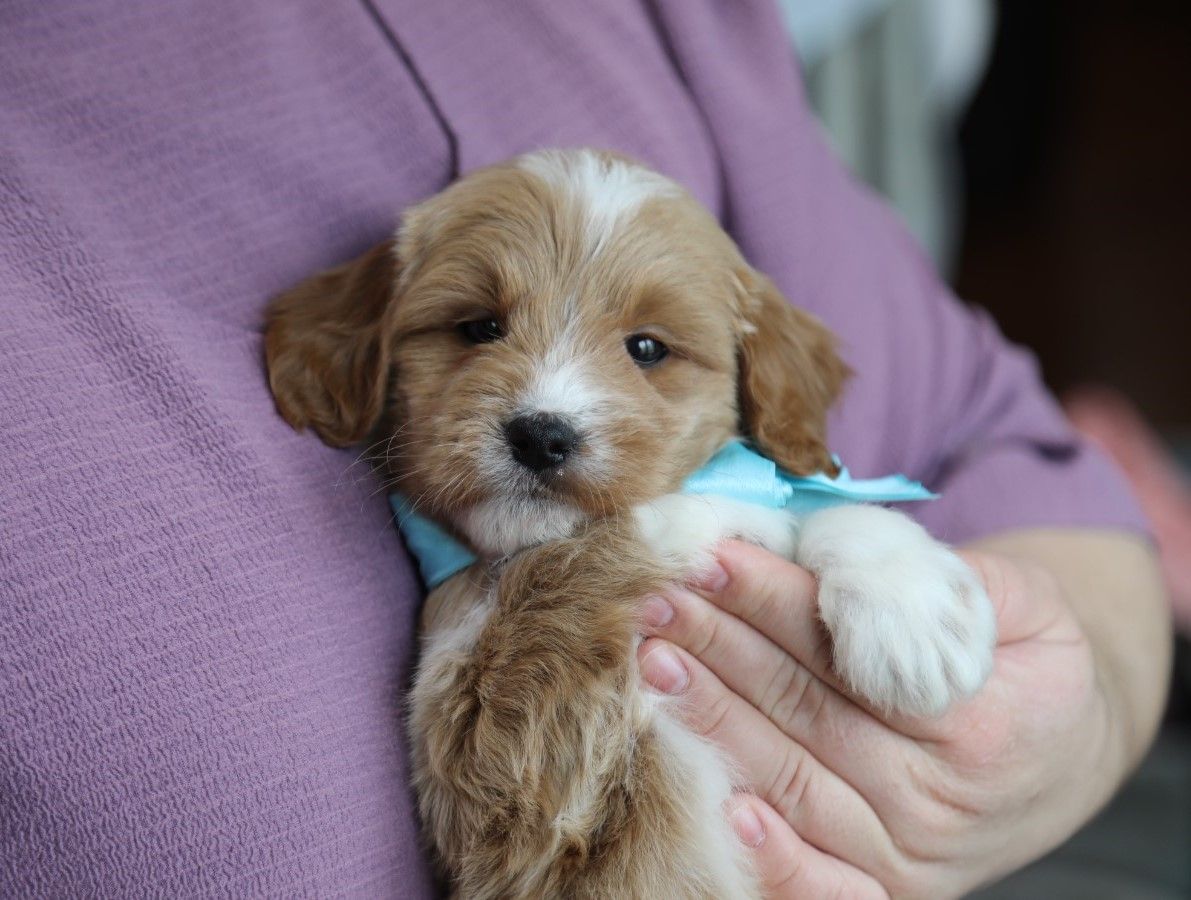  Winner - click to meet