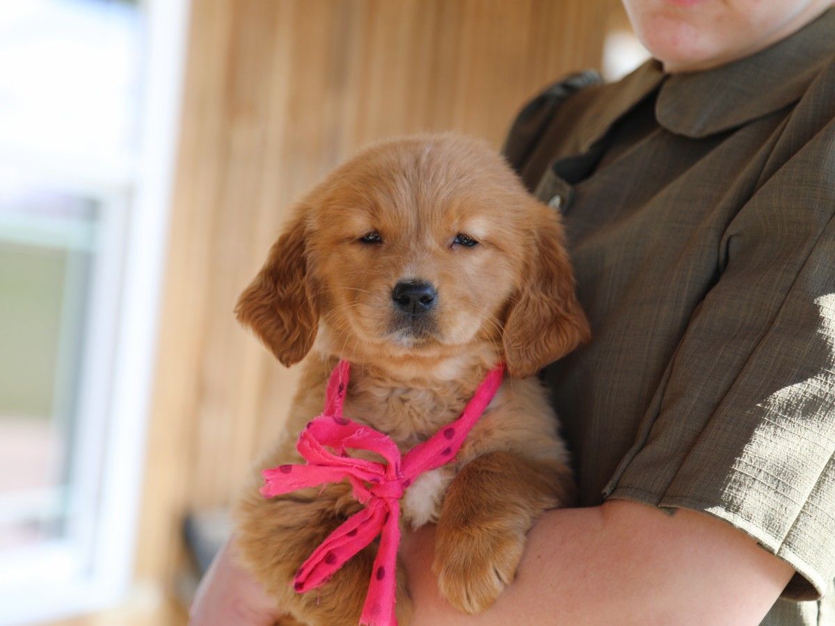 Madonna • click to meet