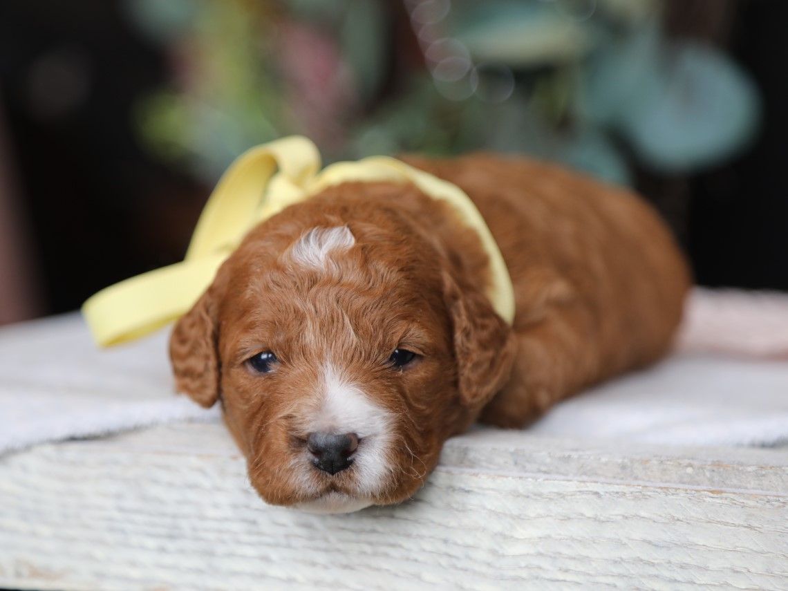 Ocean • click to meet