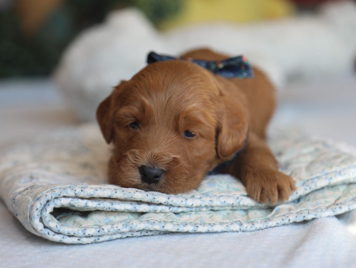 Truffle (2).JPG