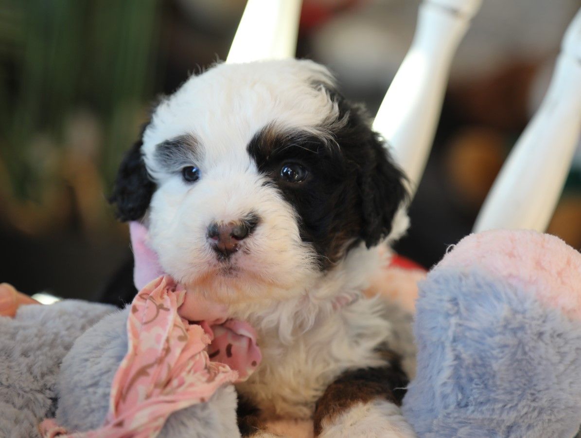 Helen - click to meet