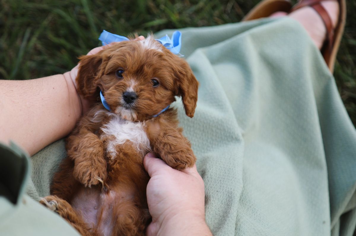 Spencer • click to meet