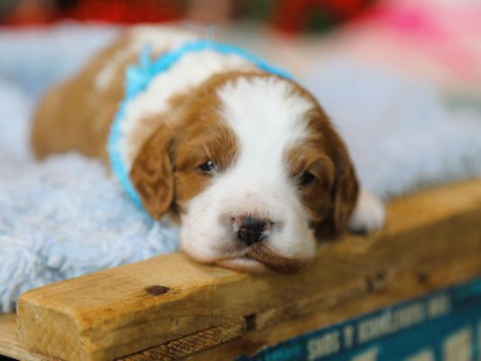 TUCKER • RESERVED