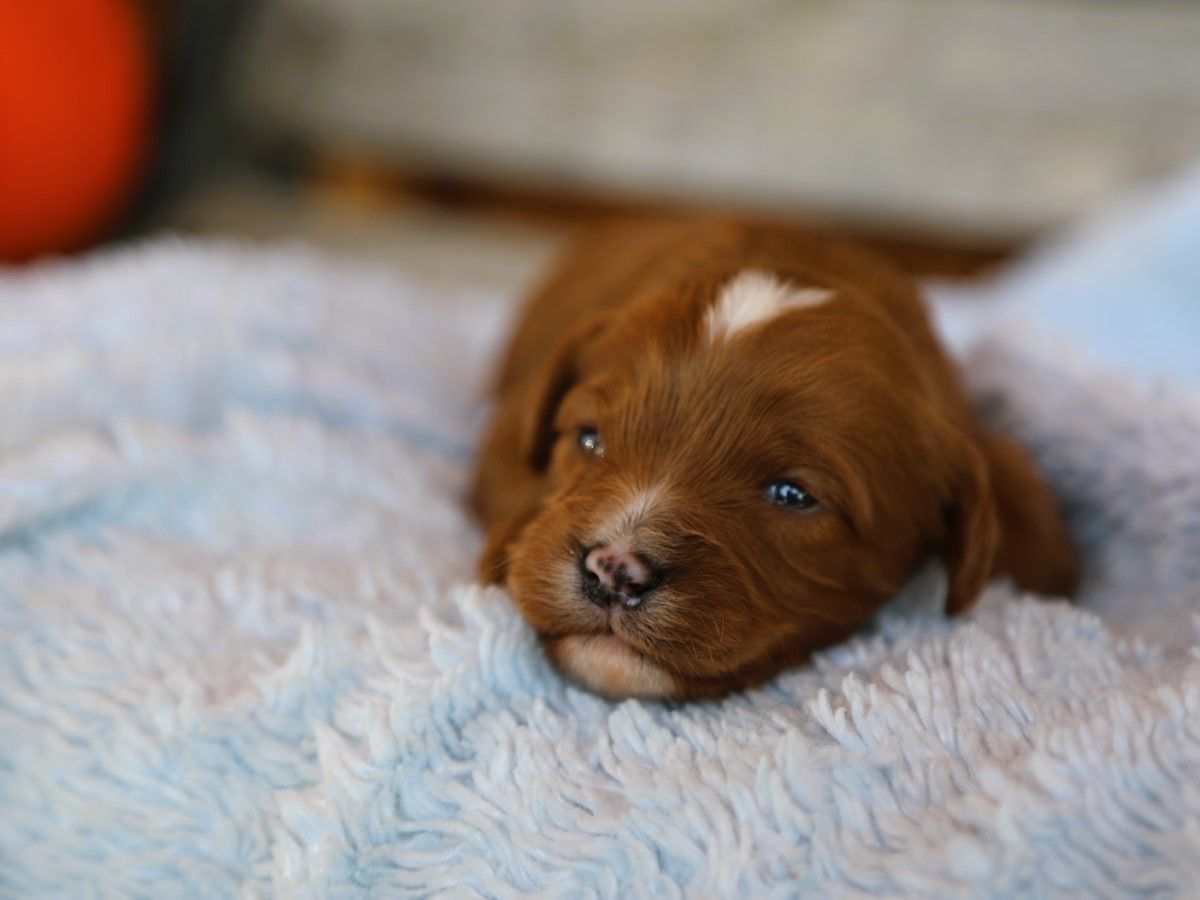 spencer (2).JPG