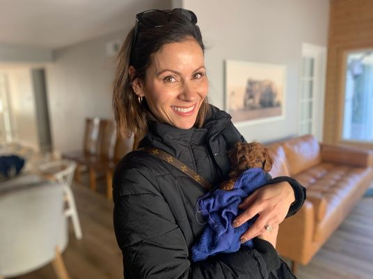 Porter Ranch, California ROSEBUD • HOMED