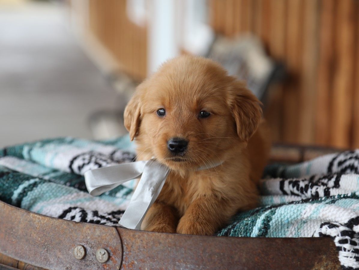 Booker (3).JPG