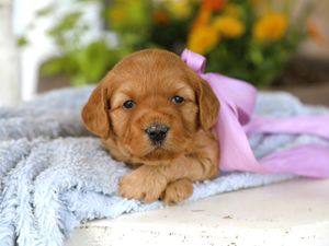  Addy • click to meet
