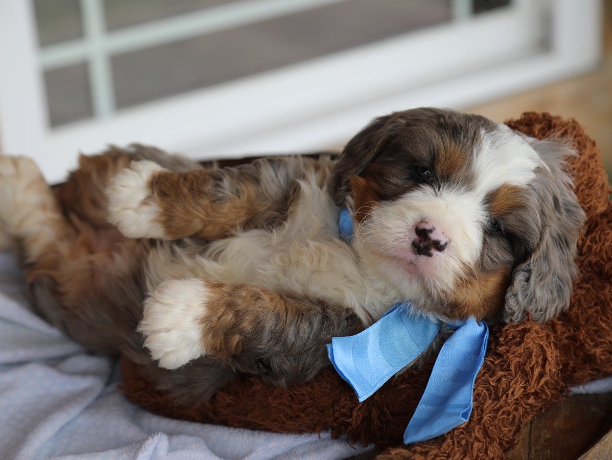 finn (4).JPG