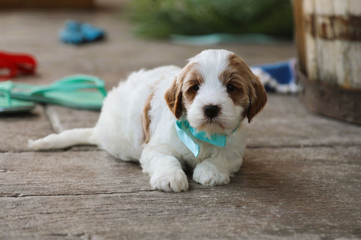 kai (4).JPG