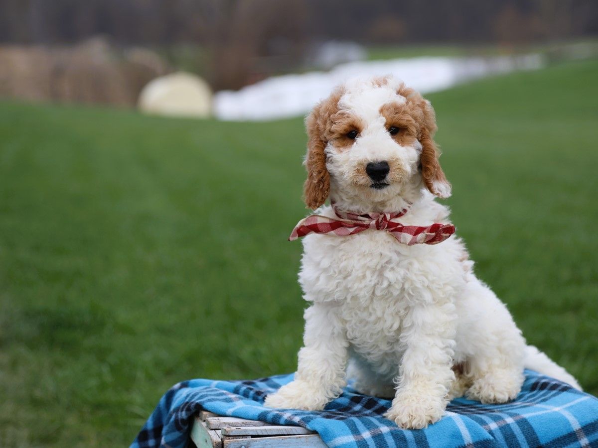 Spencer • click to meet