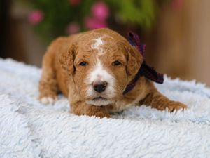 Mason • click to meet