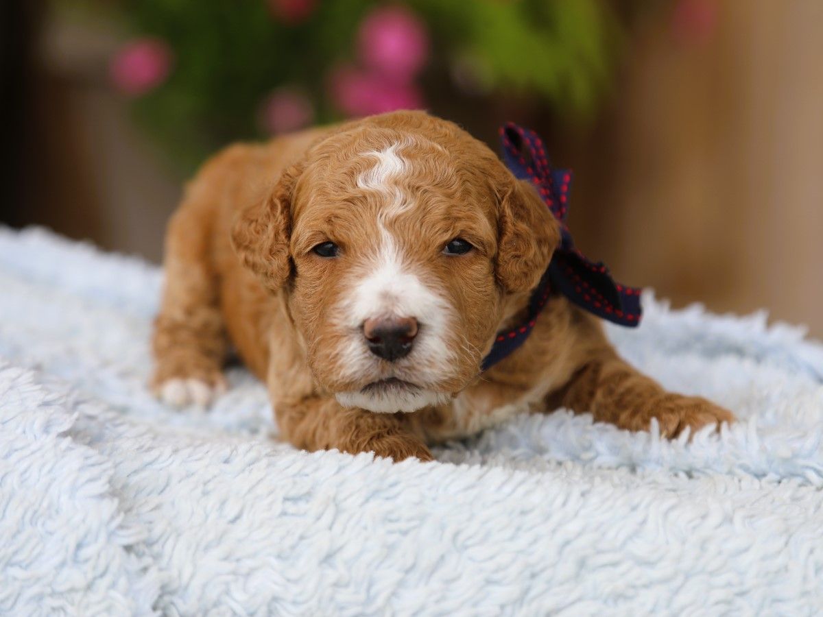 Mason • click to meet