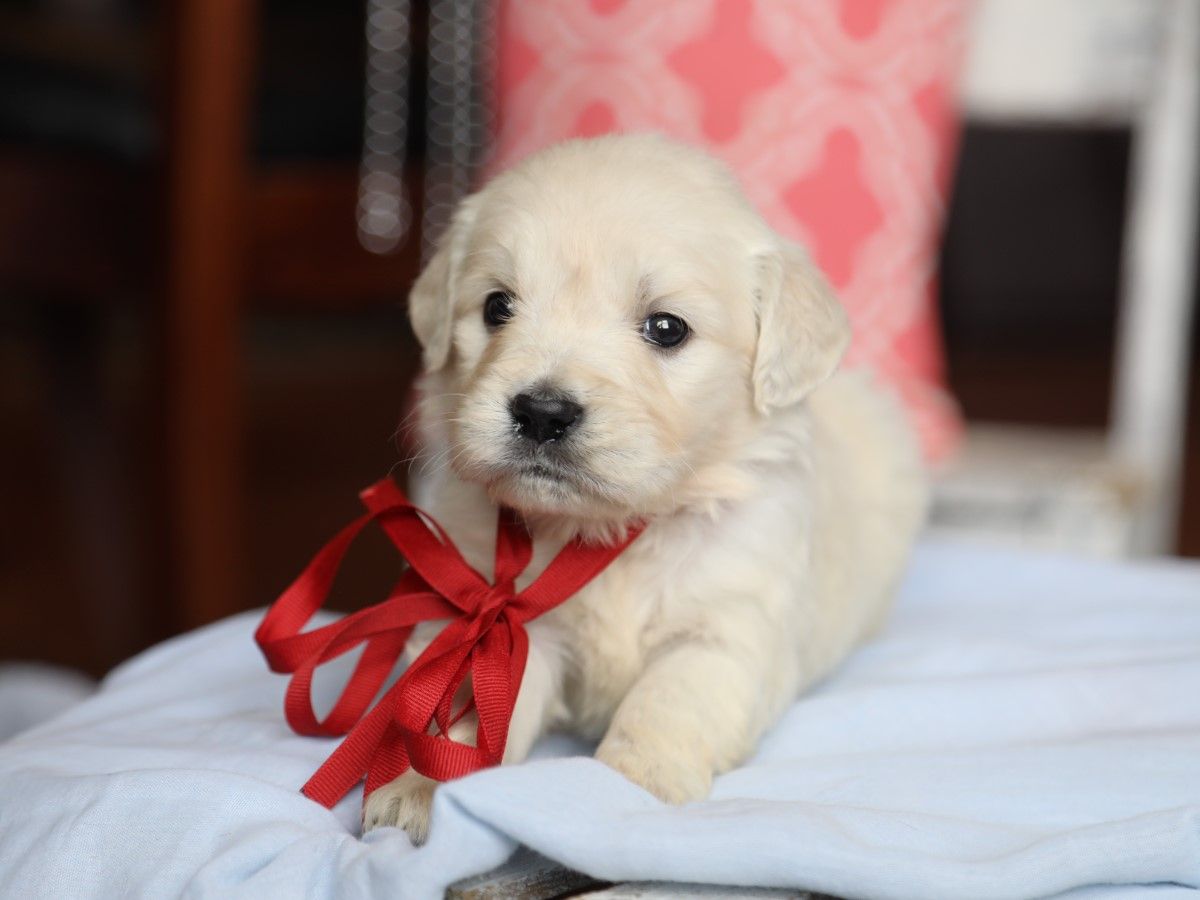 Jenny • Click to meet