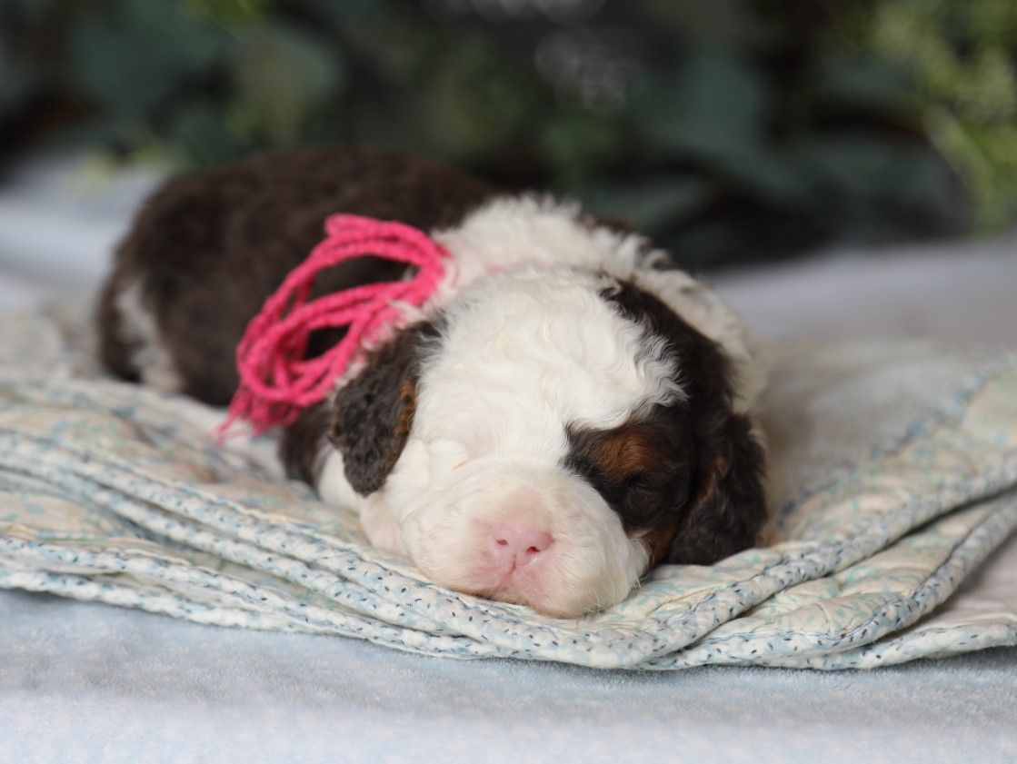 Kyra - click to meet