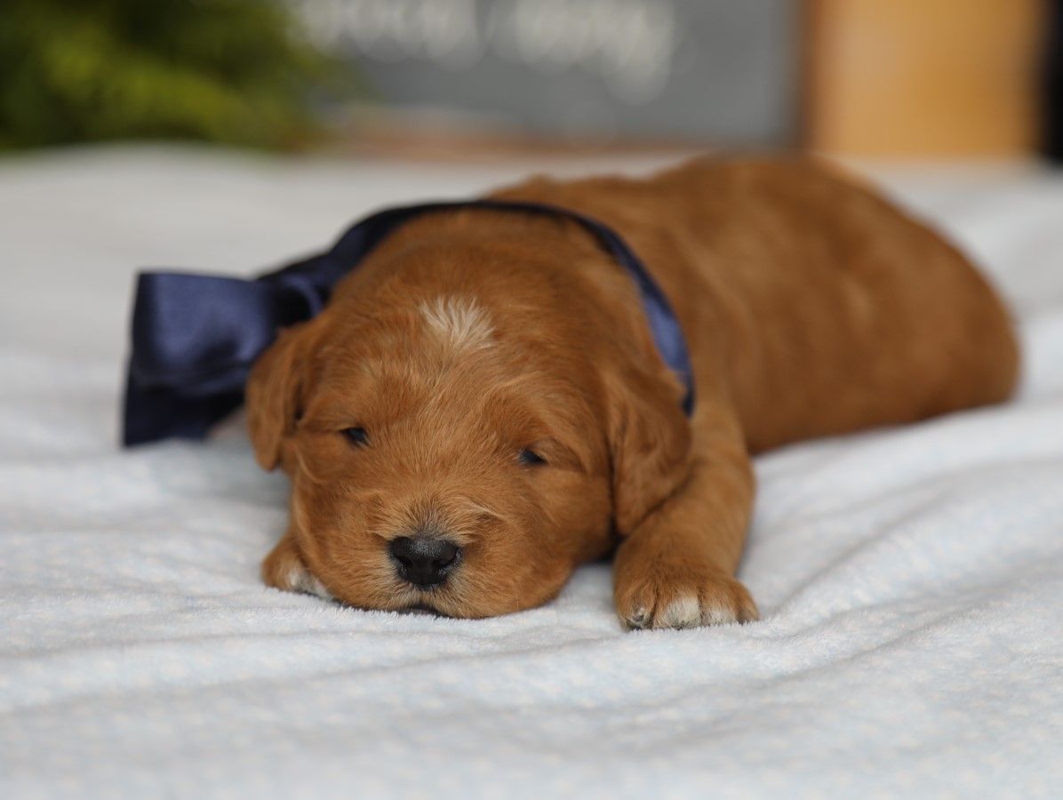 Chad (4).JPG