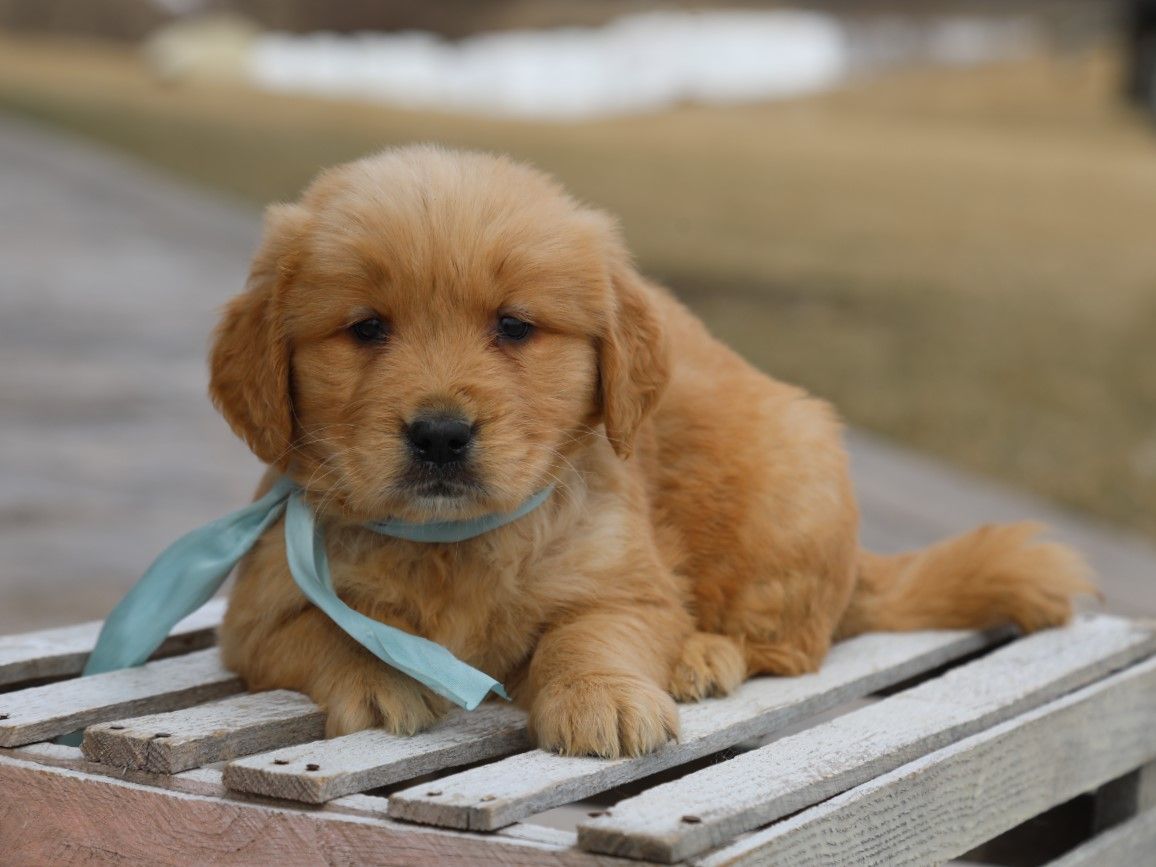  Cooper • Click to meet