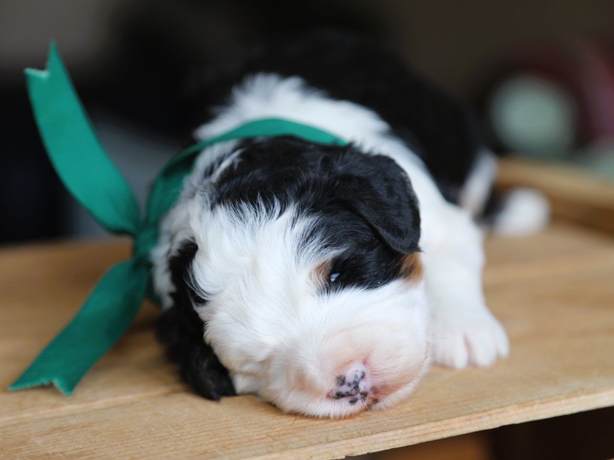 jack (4).JPG