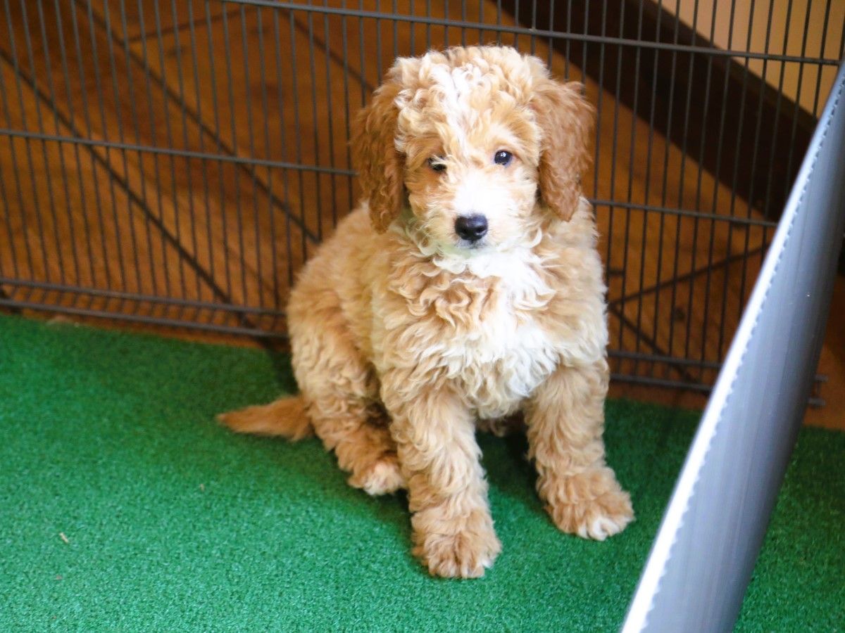 Malcolm • click to meet