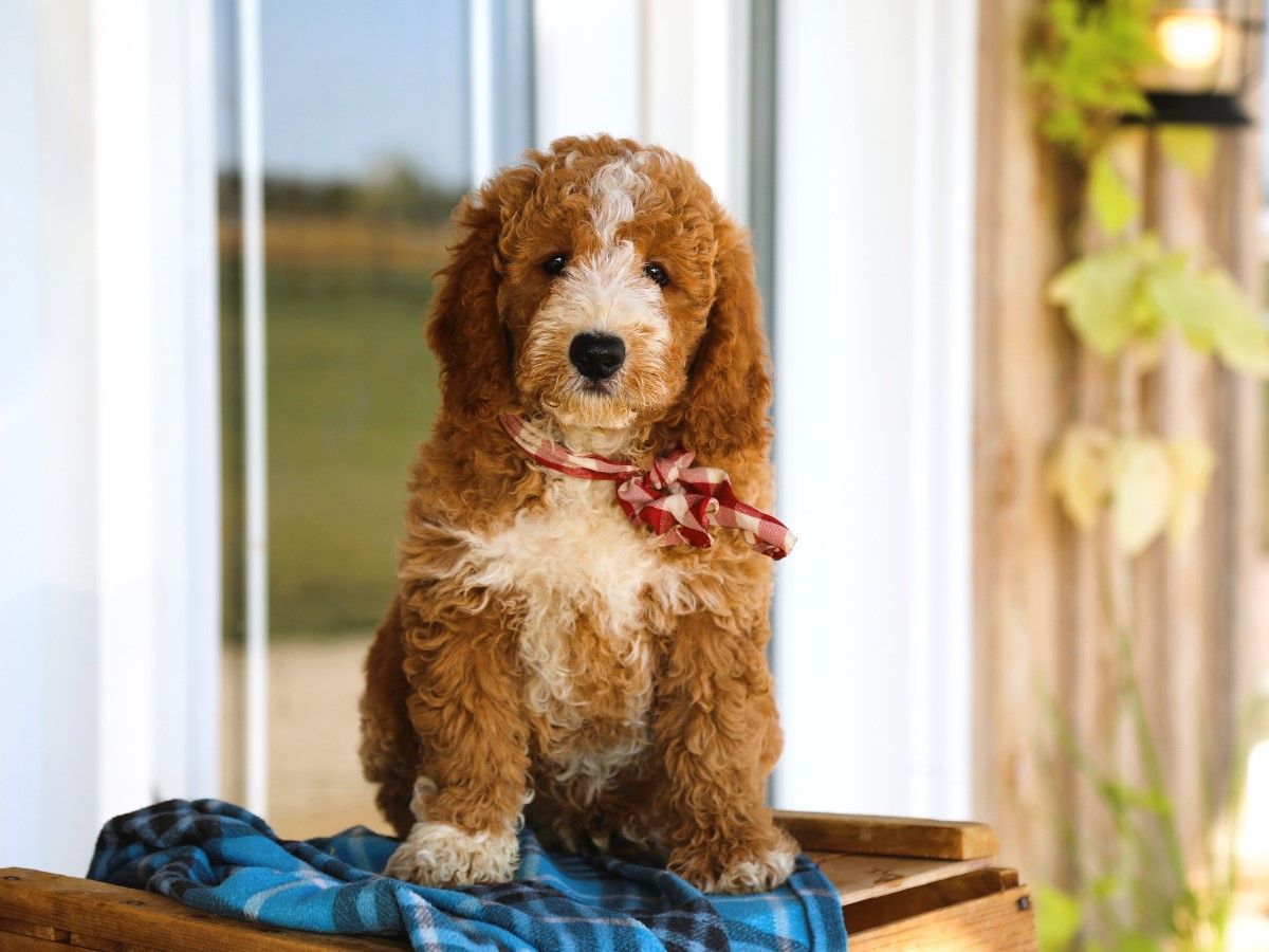  Hunter • click to meet