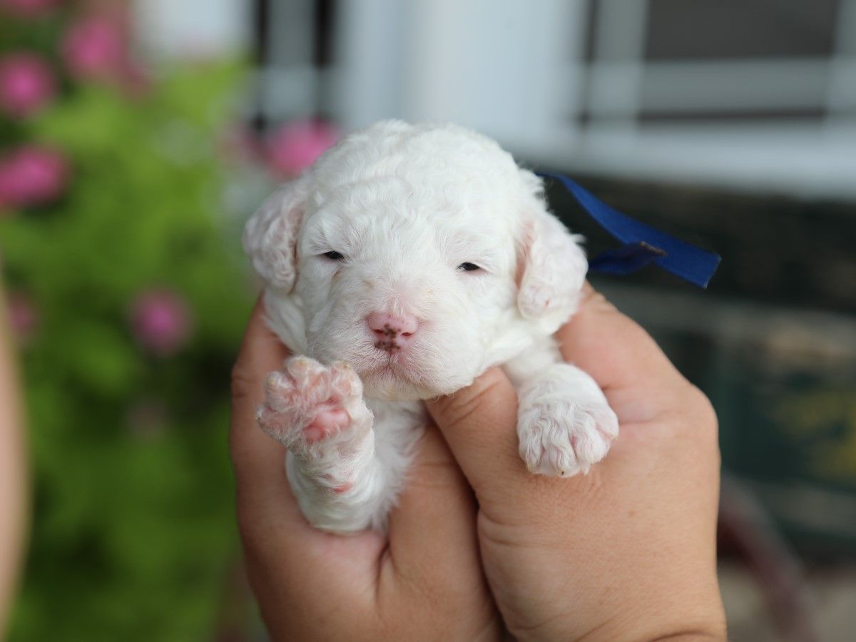 Casper (2).JPG